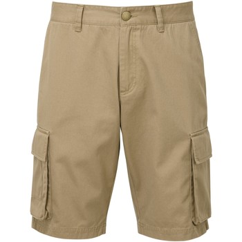 Vêtements Homme Shorts / Bermudas Asquith & Fox AQ054 Kaki