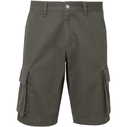 Vêtements Homme Shorts / Bermudas Sweats & Polaires AQ054 Gris