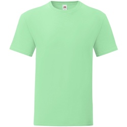 Vêtements Homme T-shirts manches longues Fruit Of The Loom Iconic 150 Vert