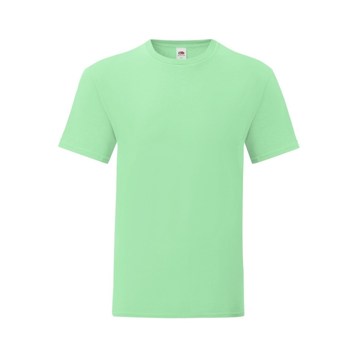 Vêtements Homme T-shirts manches longues Fruit Of The Loom Iconic 150 Vert
