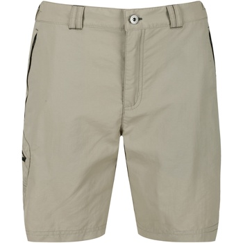 Vêtements Homme Shorts / Bermudas Regatta  Beige