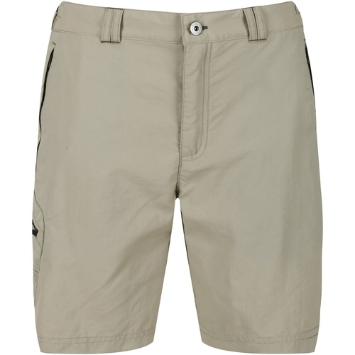Vêtements Homme Shorts / Bermudas Regatta Leesville II Beige