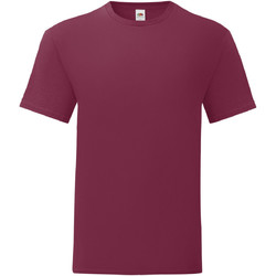 Vêtements Homme T-shirts manches courtes Fruit Of The Loom 61430 Bordeaux