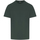 Vêtements Homme Napapijri S-Ayas Korte Mouwen T-Shirt RX151 Vert