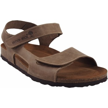 Interbios Homme Sandale  9536 Taupe