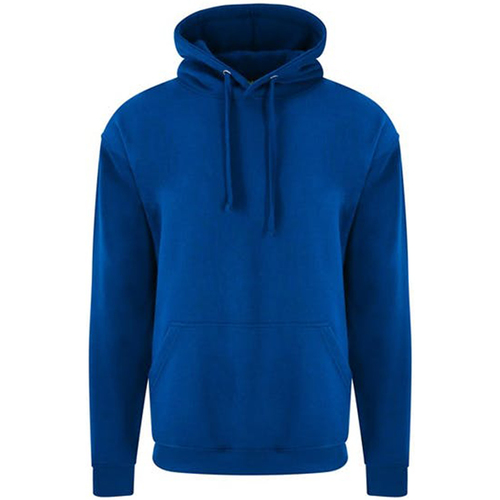 Vêtements Homme Sweats Pro Rtx RX350 Bleu