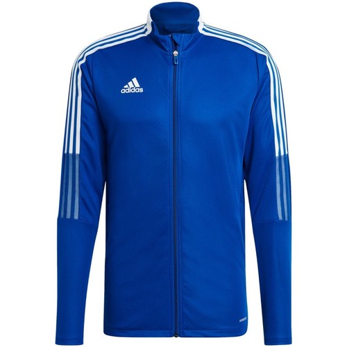 Vêtements Homme Blousons and Adidas Sportswear  Bleu