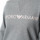 Vêtements Femme Sweats Emporio Armani Classic logo Gris