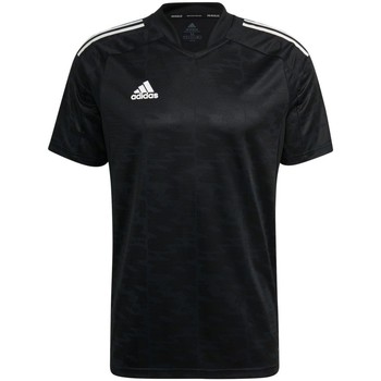 Vêtements Homme T-shirts & Polos Adidas Sportswear  Noir
