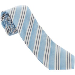 Vêtements Homme Cravates et accessoires Hackett Cravate Multicolore