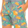 Vêtements Homme Pyjamas / Chemises de nuit Tommy Hilfiger UM0UM00153-416 Multicolore