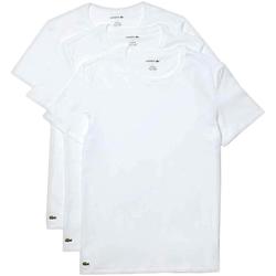 Vêtements T-shirts manches courtes Lacoste-logga Lacoste  Blanc