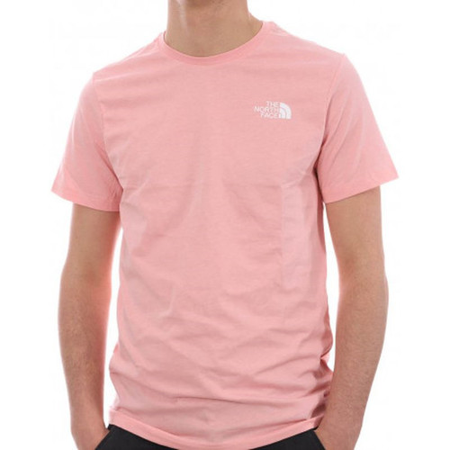 Vêtements Homme T-shirts & Polos The North Face SS GRAPHIC Rose