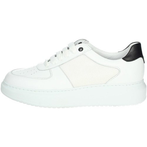 Exton 956 Blanc - Chaussures Basket montante Homme 54,39 €