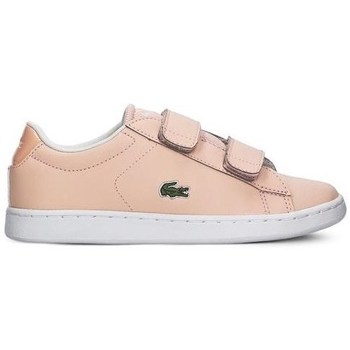 Chaussures Fille Baskets basses Lacoste Carnaby Evo Strap Rose
