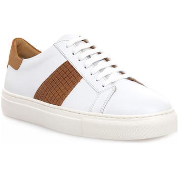 Chaussures Homme Baskets basses Soldini COLORADO BIANCO CUOIO Blanc
