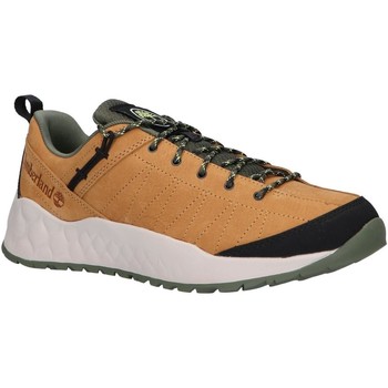 Chaussures Homme Baskets basses Timberland Squam Lake Stretch Twill Beige