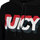 Vêtements Femme Sweats Juicy Couture JWTKT179637 | Hooded Zip Pullover Noir