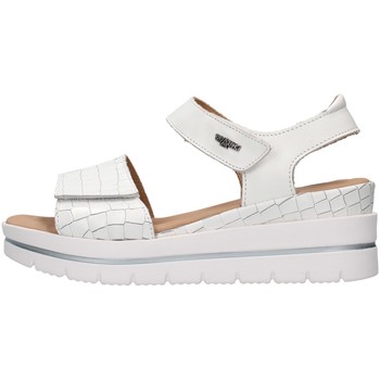Chaussures Femme Sandales et Nu-pieds Melluso 036012 Blanc