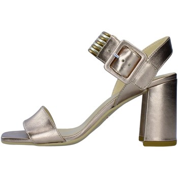 Chaussures Femme Sandales et Nu-pieds NeroGiardini E012564D Marron