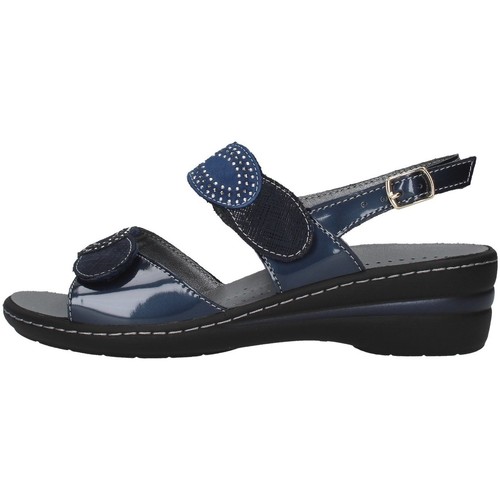 Chaussures Femme Paniers / boites et corbeilles Melluso K95721 Bleu