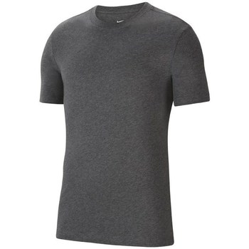 Vêtements Homme T-shirts manches courtes sole Nike Park 20 Gris
