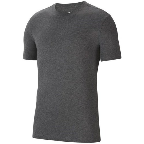 Vêtements Homme T-shirts manches courtes Nike patte Park 20 Gris