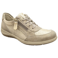 Chaussures Femme Baskets basses Suave OXFORD SHARK/FROST/ABALONE