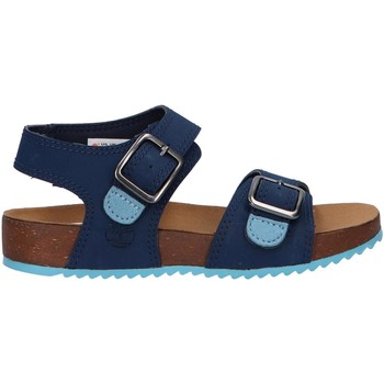 Chaussures Garçon Sandales et Nu-pieds Timberland A4349 CASTLE ISLAND Bleu