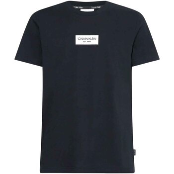 Vêtements Homme T-shirts manches courtes Calvin Klein Jeans K10K106484 Noir