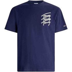 Vêtements Homme T-shirts manches courtes Tommy Jeans DM0DM10228 Bleu