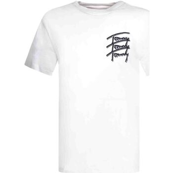 Vêtements Homme T-shirts manches courtes Tommy Jeans DM0DM10228 Blanc