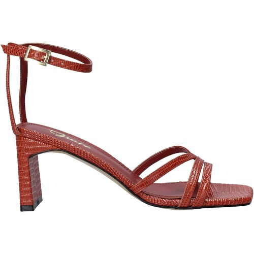 Chaussures Femme Sandales et Nu-pieds Grace Shoes 395002 Marron