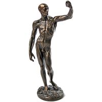 Maison & Déco Suivi de commande Parastone Figurine Etude Anatomique par Jean-Antoine Houdon Marron