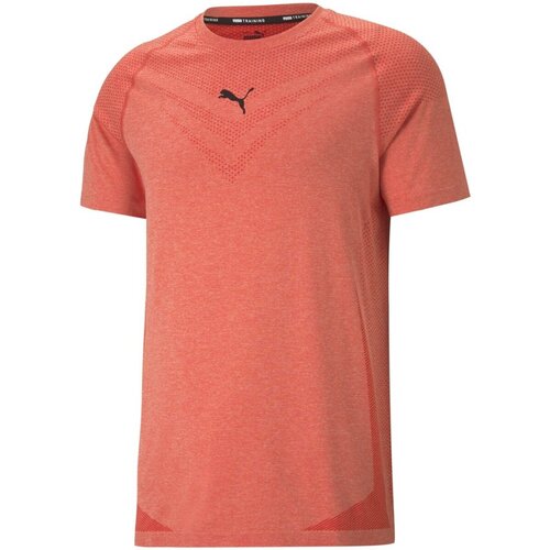 Vêtements Homme T-shirts manches courtes Puma  Rouge