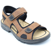 Chaussures Homme Sandales et Nu-pieds Rieker 26156-25 Marron