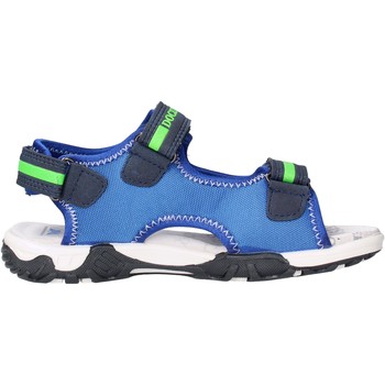 Chaussures Enfant Chaussures aquatiques Docksteps - Sandalo blu/verde BOXE3 Bleu