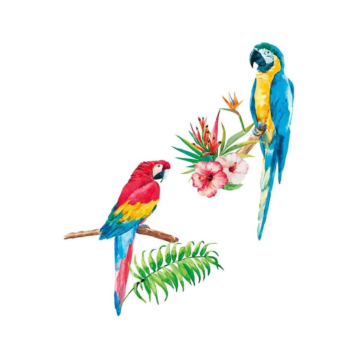 Maison & Déco Utilisez au minimum 1 lettre minuscule Stickers muraux perroquets Multicolore