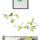 Maison & Déco Stickers Sud Trading Stickers Muraux perruches sur branches Vert