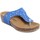 Chaussures Femme Tongs Summery  Bleu