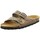 Chaussures Femme Sandales et Nu-pieds Natural World Sandales  ref 52472 Beige Beige