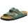 Chaussures Femme Sandales et Nu-pieds Natural World Sandales  ref 52478 vert Vert