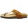 Chaussures Femme Sandales et Nu-pieds Natural World Sandales  ref 52477 Cognanc Marron