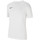 Vêtements Homme T-shirts manches courtes Nike Dri-Fit Park 20 Tee Blanc