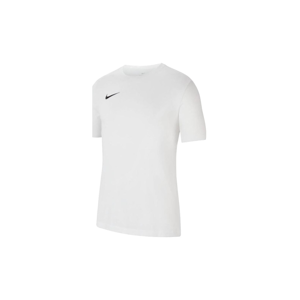 Vêtements Homme T-shirts manches courtes Nike Dri-Fit Park 20 Tee Blanc
