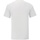 Vêtements Homme T-shirts manches longues Fruit Of The Loom Iconic 150 Blanc