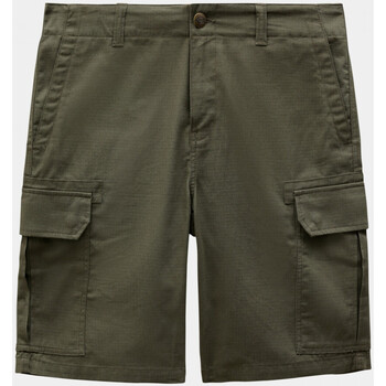 Vêtements Homme Shorts / Bermudas Dickies Millerville short Vert