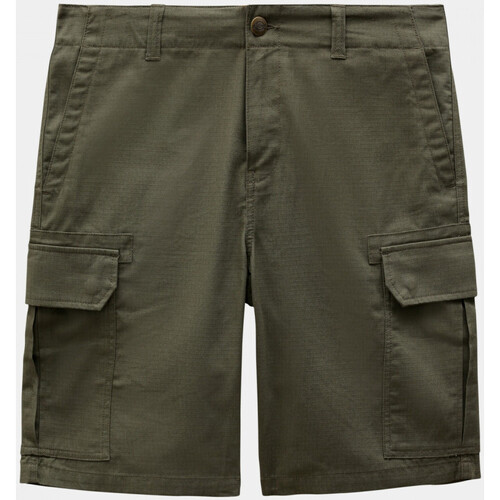 Vêtements Homme Cal Shorts / Bermudas Dickies Millerville short Vert
