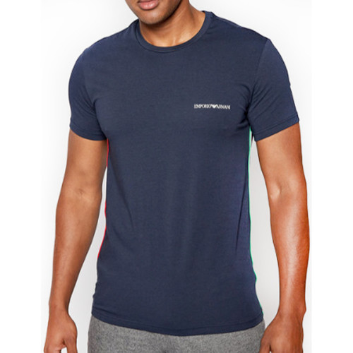 Vêtements Homme T-shirts manches courtes Emporio Armani Classic logo Bleu