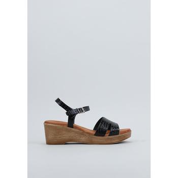 Chaussures Femme Sandales et Nu-pieds Sandra Fontan  Noir